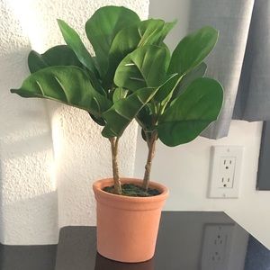 HEARTH & HAND with MAGNOLIA Fiddle Leaf Faux Plant